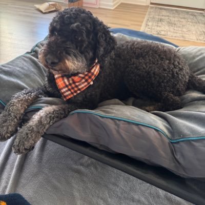 graffitimy_life's profile picture. Formerly @Lavender_haaze  - Wife/Mom - Swiftie - Buckeye - Browns Fan -