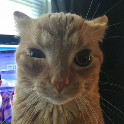 boiiii_ii's profile picture. 