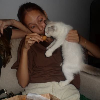 daidatay's profile picture. fluminense, marvel, taylor, geografia, etc