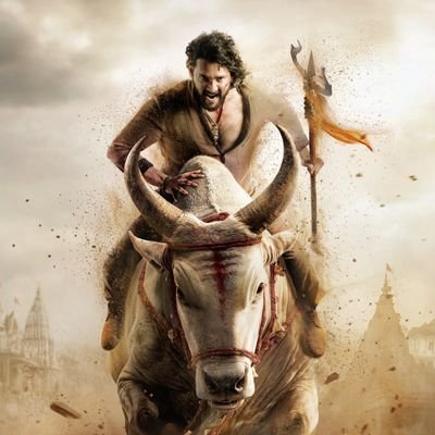 NjoyPandagow's profile picture. MB, Nani, Thalapathy, Virat, RCB, Ronaldo, TDP, Mrunal, Sukku, 🇮🇳