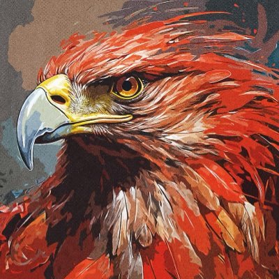 afghan93_wali's profile picture. 