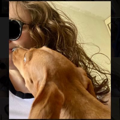 paula11023's profile picture. #SoyDelColo🏁 Orcalover♡ Amo los Animales, Cine,Música, Ciencia, algunos Deportes. Muchas veces sólo se trata de sensatez y sentido común. "El tiempo confirma”⏳