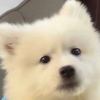 bunn1eqt's profile picture. ⠀ ⠀ ⠀ ⠀ ⠀ ⠀ ⠀⠀♡ @brightrpp_ ⠀ ⠀ ⠀ ⠀ ⠀ ⠀ ⠀ ⠀ ⠀ ⠀ ⠀ ⠀ ⠀ ⠀ ⠀ ⠀ ⠀ ⠀ ⠀ ⠀ ⠀ ⠀ ⠀ ⠀ ⠀ ⠀ ⠀ ⠀ ⠀ ⠀ ⠀ ⠀ ⠀ ⠀ ⠀ ⠀ ⠀ ⠀ ⠀ ⠀ ⠀ ⠀ ⠀ ⠀