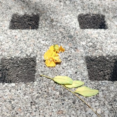 refraneroarg's profile picture. 