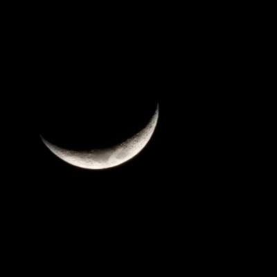 fdlxol's profile picture. Nature,Truth,love.