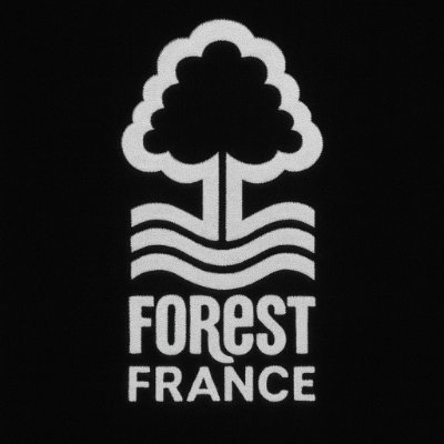NottmForestFRA's profile picture. Page Française 🇫🇷 d'un des clubs les plus historiques d'Angleterre 🏴󠁧󠁢󠁥󠁮󠁧󠁿 Nottingham Forest #NFFC 🔴⚪