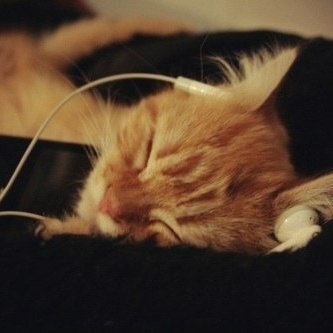 idcidgafuck's profile picture. can we add some more color?