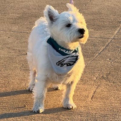 thesamuraijake's profile picture. 2012 Berks County Middle School Interscholastic Ice Hockey Champion