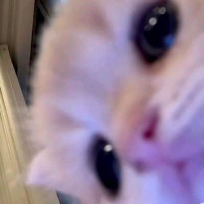 l1EmrYQDiJ98355's profile picture. 