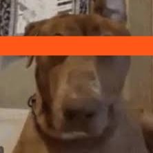 danyl_denk01's profile picture. ·  Full-time Java dev in fin-tech @bookmap_pro
· Crypto enthusiast 
· Building bots/scripts to farm on-chain projects
 
260000 Paradex XP
1000 Lighter points