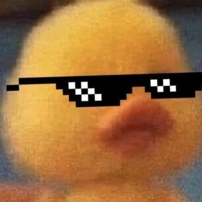 quantumloo21419's profile picture. 