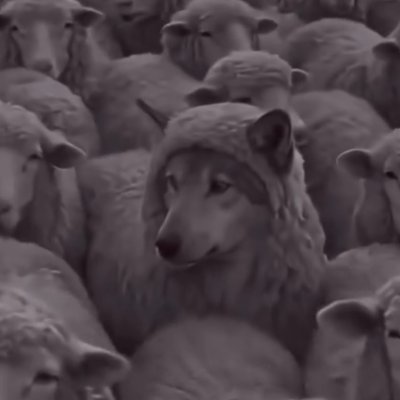 domantasst79031's profile picture. AI, markets, software systems.
Trying to understand how things really work.  Try to find next gem. #Metero
Not bullish, not bearish — structural.