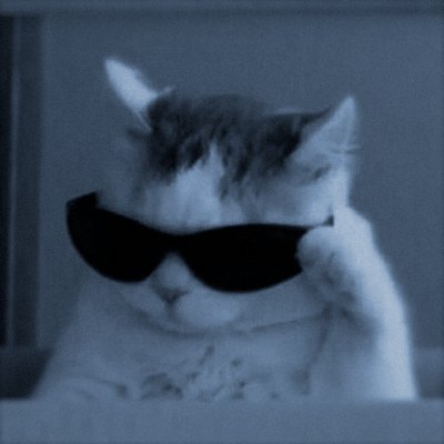 HalderEditing's profile picture. Delivering edits before you blink.