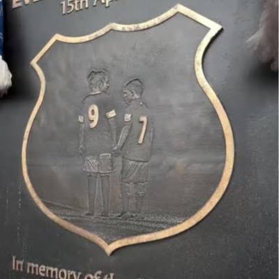 AndyhughesEFC's profile picture. COYB 💙UTFT 💙