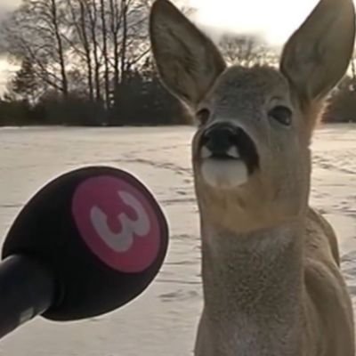 LoospWw's profile picture. 