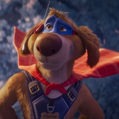 CharlieWondrDog's profile picture. I'm Wonderdog, and I love Tacos!
male,
39
#Single