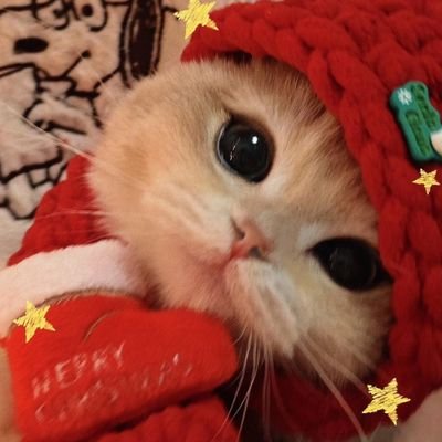 69shadesofPain's profile picture. He/him  22
single | 
RSS 🚩🧡