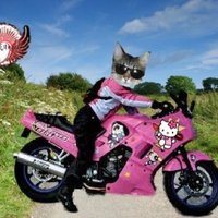 Lily💔Squirt Walter Winston Big Oranje Jodie (@lilyluwhot) 's Twitter Profile Photo