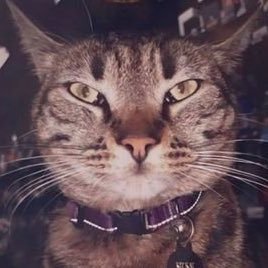 ParkerCPlusplus's profile picture. 