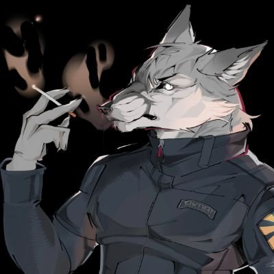 bomberfox_'s profile picture. Fox Supremacy 🦊🔞 | pfp: @kozodoyyy | banner: @Hachimakiyaki