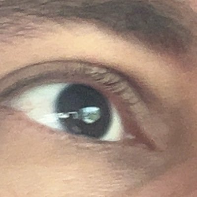 gldmscno's profile picture. a lite softer than I I used to be