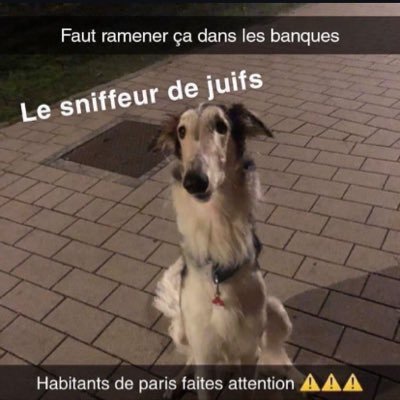 Hasba2feuj93's profile picture. 