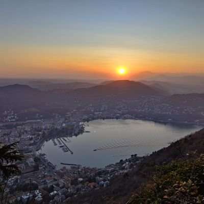 mertnzu's profile picture. 