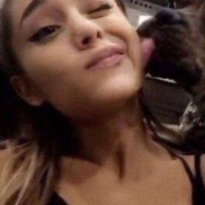 adorequit's profile picture. ౨ৎ⠀⠀popgirls + limp bizkit enthusiast