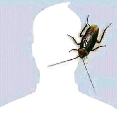 falik1347799's profile picture. simple