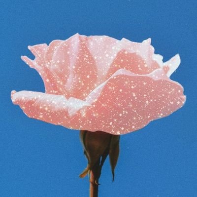 Matlhatsi2nd's profile picture. A rare jewel 😍
God is gracious 🍃

🙏🏾👩🏽‍🎓👩🏽‍🎓🧚🏽‍♀️⛳🎨