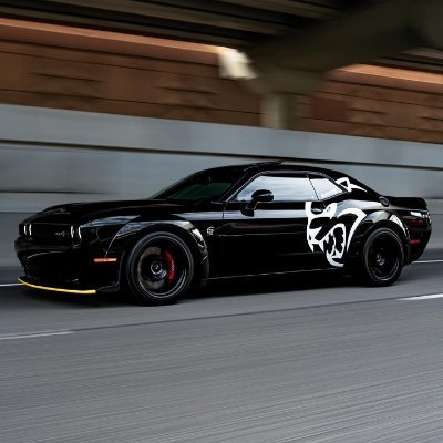 Zain_gill_261's profile picture. let's connect  with eachother through @GiveRep  @suiNetwork #follow=#followback