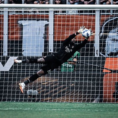 Degea44x's profile picture. @Whitefoxes25+320💶