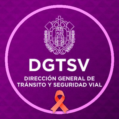 ssptransitover's profile picture. Cuenta Oficial de la Dirección General de Tránsito y Seguridad Vial del Estado de Veracruz.