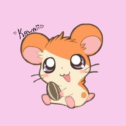 XGraceBdsrn's profile picture. ✨️ SHINE WITH ME ✨️ | @Gracebudsarin23 💙🩵 | @loverrukk | @ginnynatnicha | @neeyamakela #Blyss