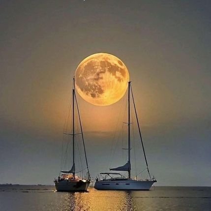 Gorkhali67's profile picture. 