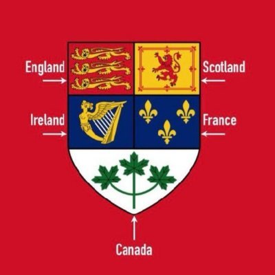 CannabisCrazy7's profile picture. 40s all male, renovator,  ,Gardner,weed enthusiast , Imagine buying weed from the same people that wanted to lock you up "irony" I only support tax free local