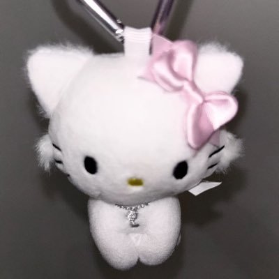 kanemochinoinu's profile picture. 