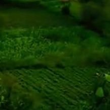 RhyfAbw30's profile picture. 