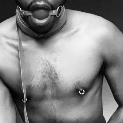 B8RUniversity's profile picture. He/ Him/Them *+ NSFW *+ Account 18+ •All Bodies are Beautiful •Everyone is welcome•