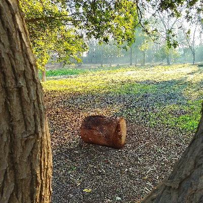 moustakba's profile picture. LIFE WITH ALL ITS CONTRASTS
LIFE