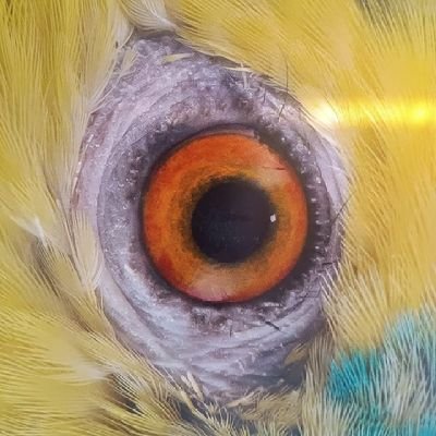 MarcosLoayza10's profile picture. por la Democracia