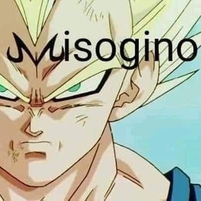 cristianda39496's profile picture. so existe dois gêneros, 
alexandre é ditador,
lula é ladrão,
xique-xique bahia