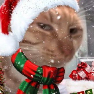 yellowjackie96's profile picture. he/him 🏳️‍⚧️🏳️‍🌈♿️ 27 years old. lover of comics, film, literature and more. cat fanatic. physical media collector.