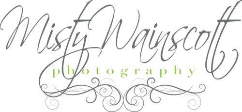 My goal is to provide you with affordable photographs that you will treasure for a lifetime!  Contact me at MistyWainscottPhotography@gmail.com!