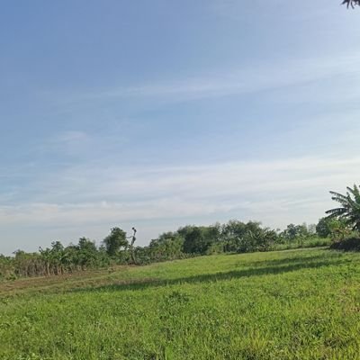 WongDhesso77's profile picture. ojo lali sholat