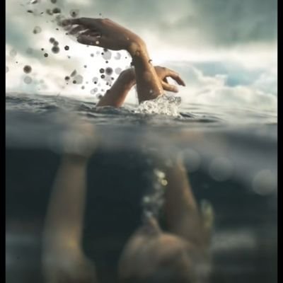 ndigoluna1's profile picture. Leer
Escribir