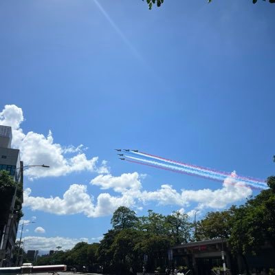 CryptoFishDoge's profile picture. 