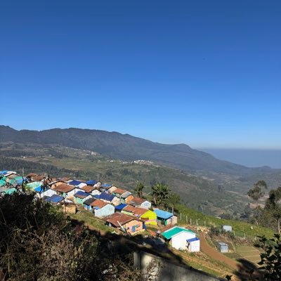 mrash212's profile picture. 