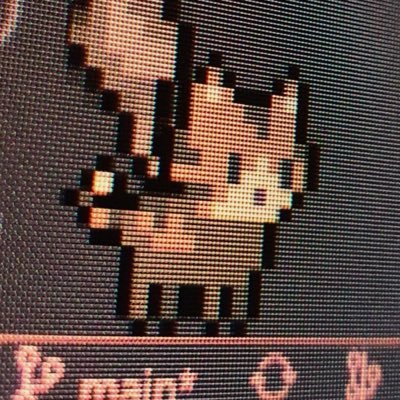 httprity's profile picture. I like the feeling of being called smart.