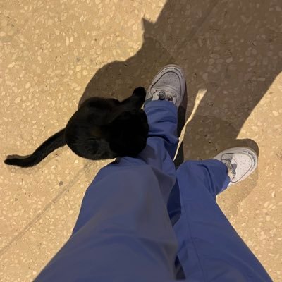 areej_kh11's profile picture. 5th year Med student